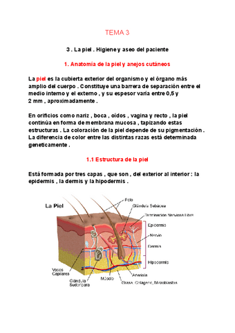 TEMA-3.pdf