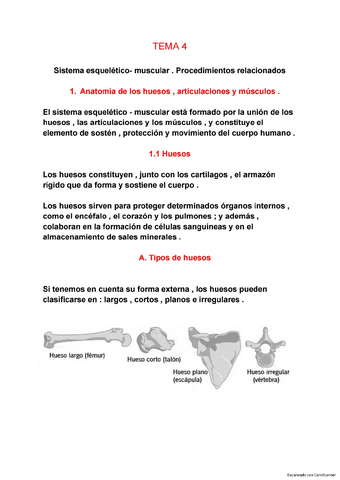 TEMA-4.pdf