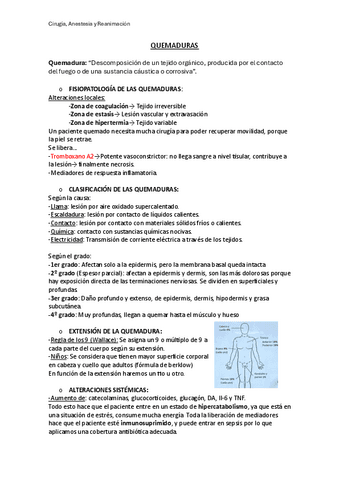 Quemaduras-23/24.pdf