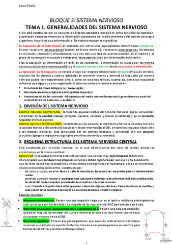 Apuntes-SISTEMA-NERVIOSO.pdf