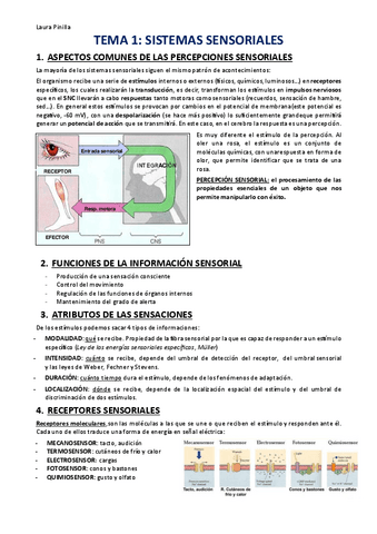 NEUROFISIOLOGIA.pdf