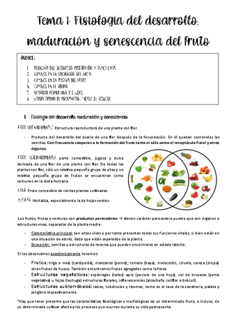 tema-1-productos.pdf