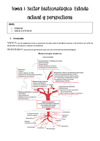 tema-1-procesos.pdf