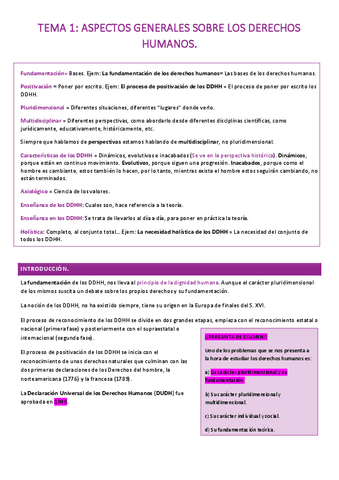 RESUMEN-TEMA-1-DDHH.pdf