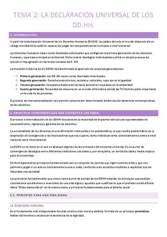 RESUMEN-TEMA-2-DDHH.pdf