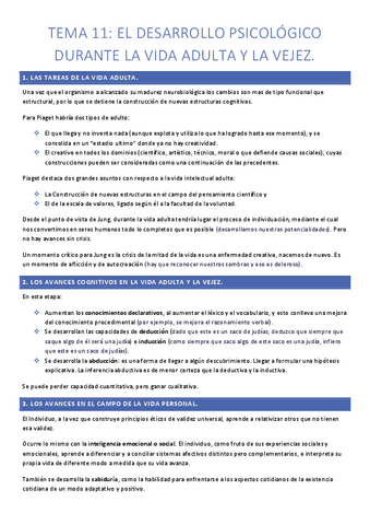 RESUMEN-TEMA-11-PD.pdf