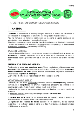 T5-DIETO-DIESTAS-ADAPTADAS-A-SITUACIONES-FISIOPATOLOGICAS.pdf