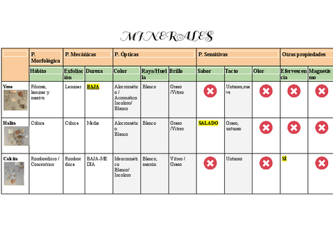 Minerales-Geologia.pdf