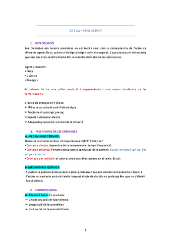 GR-GRAN-CREMAT.pdf