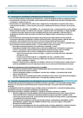 Did.-Sociales-Resumen-Manoli.pdf