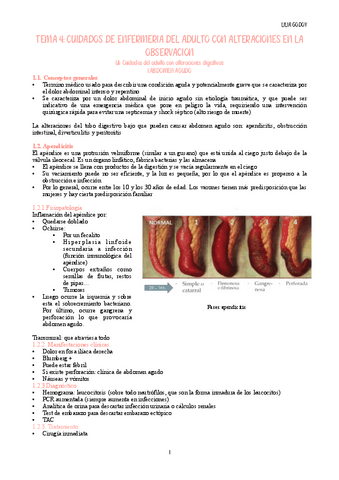 Tema-4.pdf