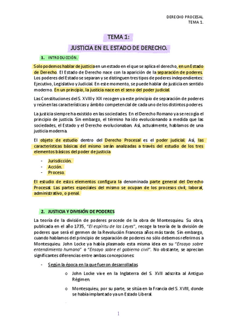 Apuntes-Manual-Subrayados1.pdf