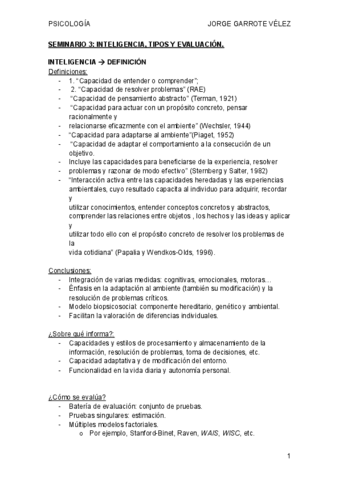 SEMINARIO-3-INTELIGENCIA.pdf
