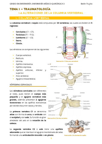 MQ3-Tema1-Traumatologia-6AlteracionesColumnaVertebral.pdf