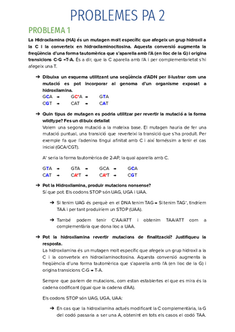 PROBLEMES-PA-2.pdf