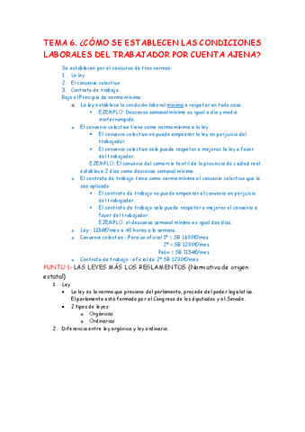 TEMA-6.pdf