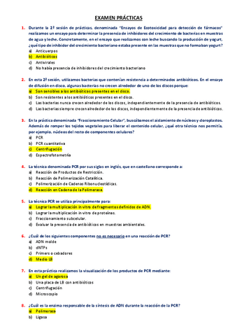 EXAMEN-DE-PRACTICAS.pdf