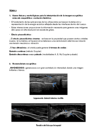 DIAGNOSTICO-TEMA-3.pdf