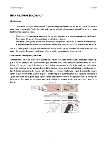Tema-1-Ritmos-biologicos.pdf