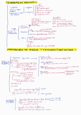 ESQUEMAS-PARTE-OREJANA-PATOLOGIAS-Y-TTOS.pdf