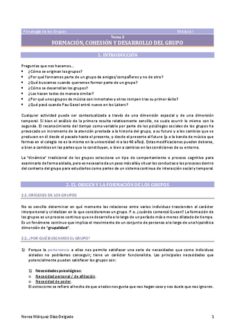 Tema-2.-Formacion-cohesion-y-desarrollo-del-grupo.pdf