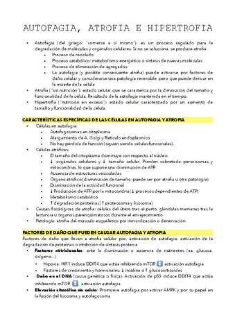 TEMA-4.pdf