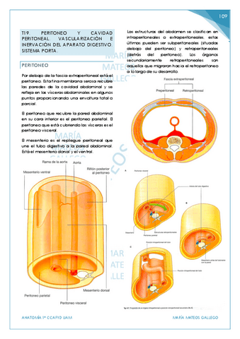 Temas-19-21.-BLOQUE-7-8.-Aparato-digestivo-y-reproductor..pdf