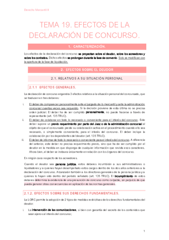 Tema-19-Mercantil-II.pdf