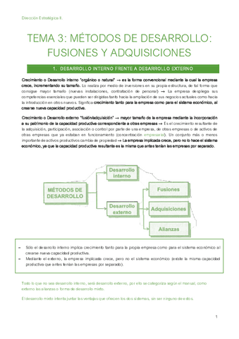 Tema-3-Direccion-Estrategica-II.pdf