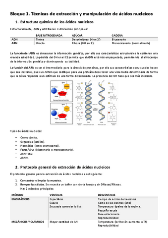 Bloque-1.-Tecnicas-de-extraccion-y-manipulacion-de-acidos-nucleicos.pdf