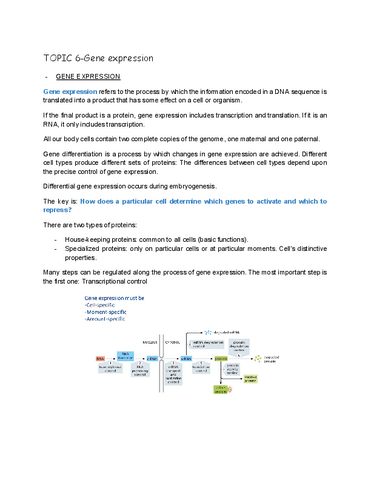 TOPIC-6-Gene-expression.pdf
