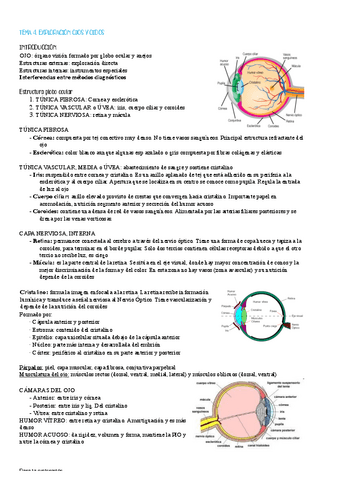 tema-4.pdf