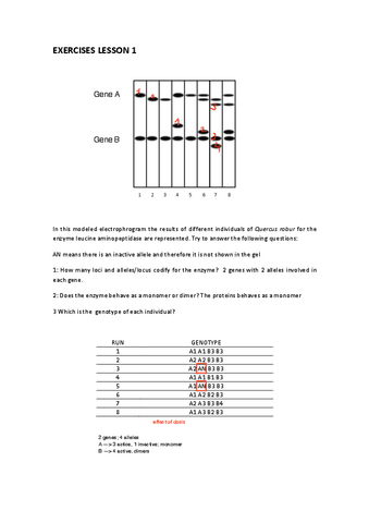 Exercises-unit-1.pdf