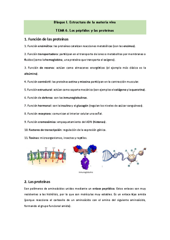 Bioquimica-Tema-6.pdf
