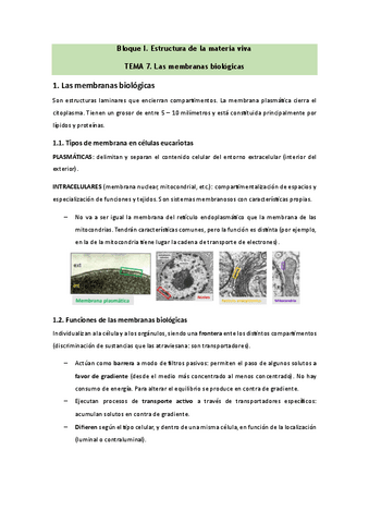 Bioquimica-Tema-7.pdf