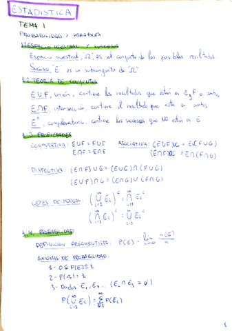 Estadistica-TEMA1-2024.pdf