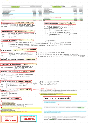 Resumen-saldos-presupuestarios.pdf