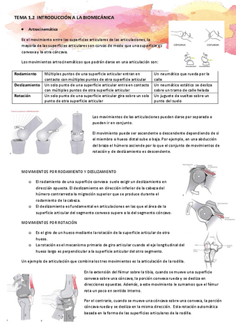 TEMA-1.2-Introduccion-a-la-Biomecanica.pdf