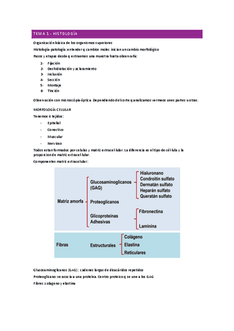 APUNTES-Patologia-celular-y-molecular.pdf