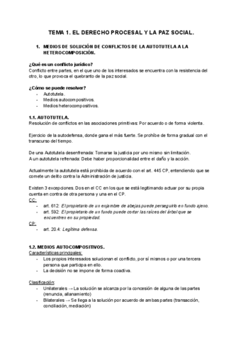 Temas 1 al 4. Fundamentos de Derecho Procesal..pdf