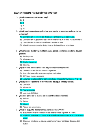 FV-EXAMEN-P1C-Corregido.pdf