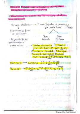 Tema 0 al 2 Estadistica II.pdf