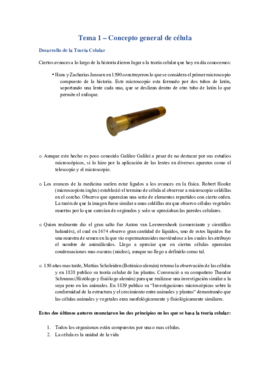Tema 1 y 2. .pdf