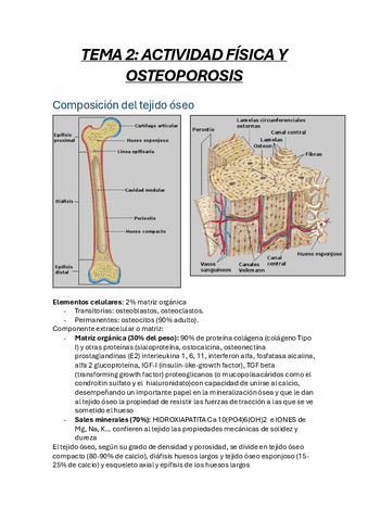 TEMA-2-osteoporosis.pdf