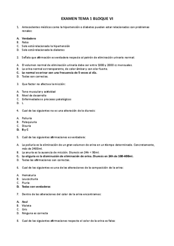 Examen-tema-1.pdf