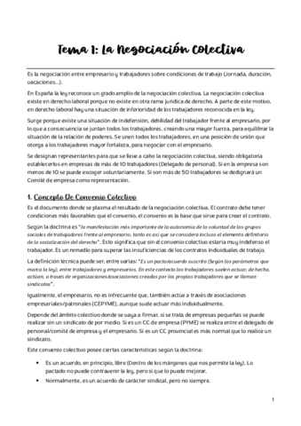 Tema-1-Derecho-Sindical-II.pdf