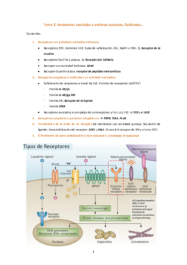 Tema 2.pdf