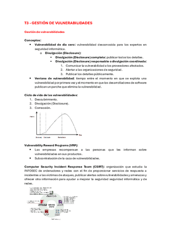 T3-Gestion-de-vulnerabilidades.pdf