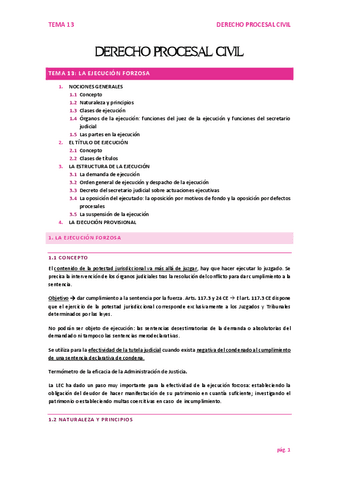 TEMA-13-PROCESAL-CIVIL.pdf