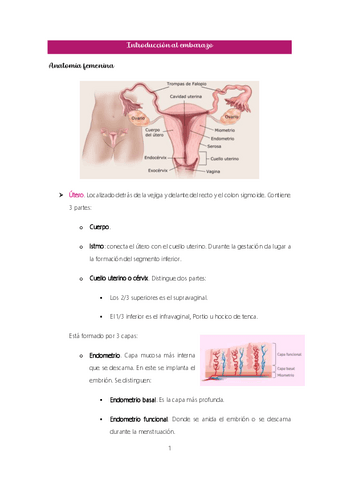 Tema-2.-Introduccion-al-embarazo.pdf